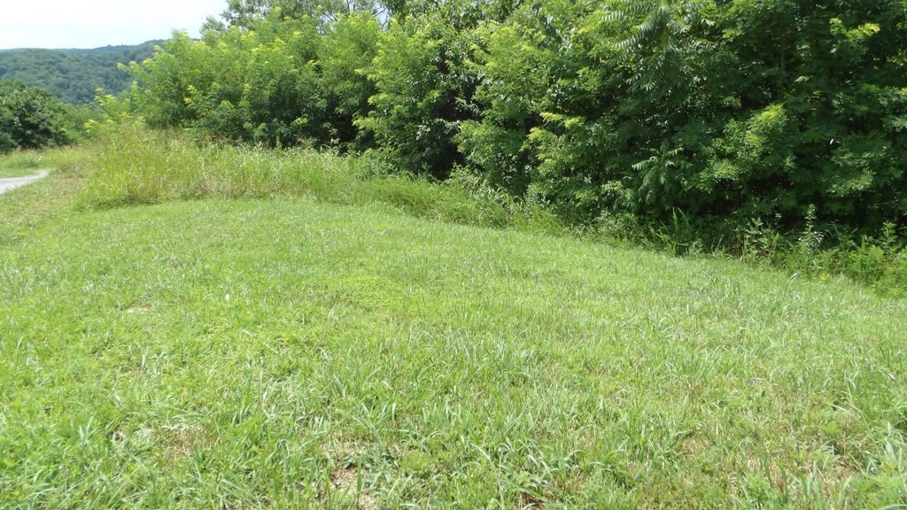 17 D Crappie Lane, Hilham, TN 38568
