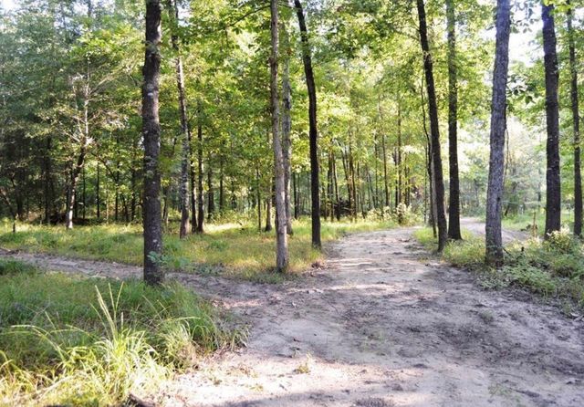876 County Road 2125, Cleveland, TX 77327