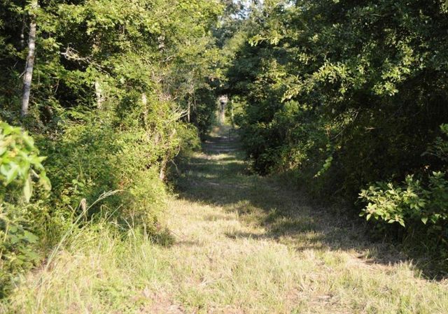 876 County Road 2125, Cleveland, TX 77327