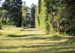 876 County Road 2125, Cleveland, TX 77327