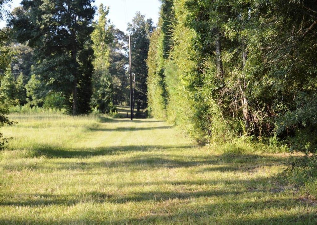 876 County Road 2125, Cleveland, TX 77327