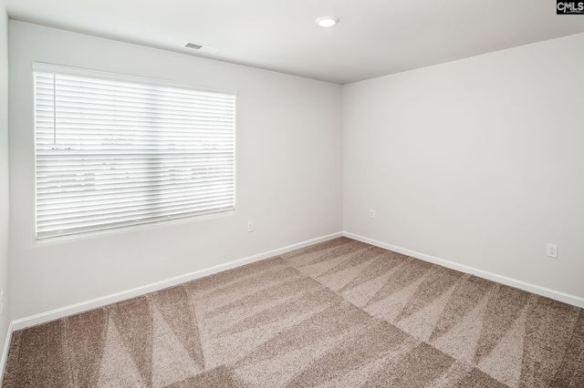 2117 Duck Lettuce Court, Gilbert, SC 29054