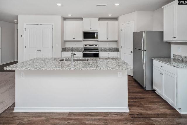 2117 Duck Lettuce Court, Gilbert, SC 29054