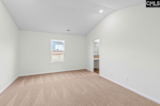 2117 Duck Lettuce Court, Gilbert, SC 29054