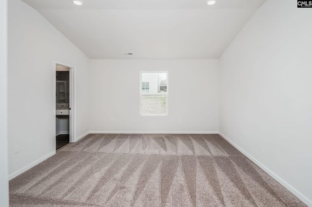 2117 Duck Lettuce Court, Gilbert, SC 29054