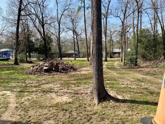 193 Rosemary Lane, Livingston, TX 77351