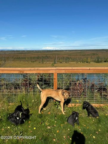 47390 Winridge Avenue, Kenai, AK 99611