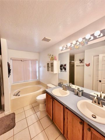 245 FOGGY CREEK ROAD, Davenport, FL 33837