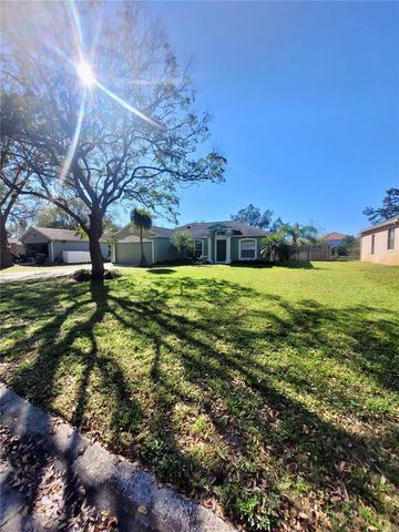 245 FOGGY CREEK ROAD, Davenport, FL 33837