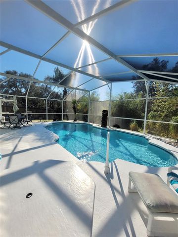 245 FOGGY CREEK ROAD, Davenport, FL 33837