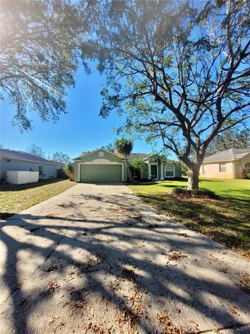 245 FOGGY CREEK ROAD, Davenport, FL 33837