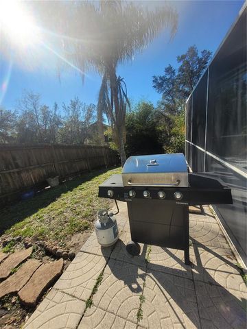 245 FOGGY CREEK ROAD, Davenport, FL 33837