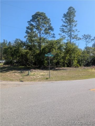 6443 N Dunlap Terrace, Citrus Springs, FL 34433