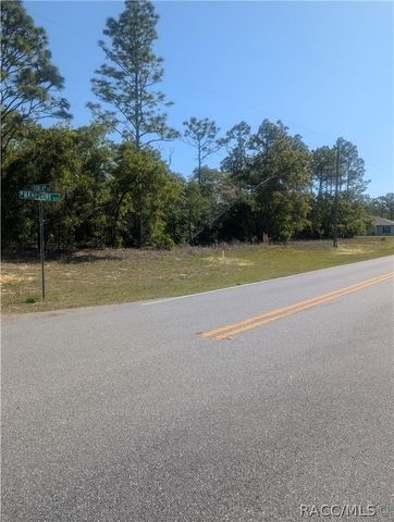 6443 N Dunlap Terrace, Citrus Springs, FL 34433