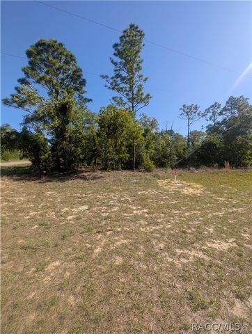6443 N Dunlap Terrace, Citrus Springs, FL 34433