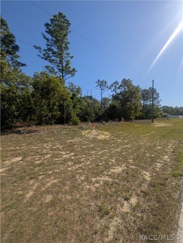 6443 N Dunlap Terrace, Citrus Springs, FL 34433