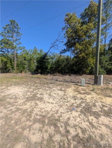 6443 N Dunlap Terrace, Citrus Springs, FL 34433