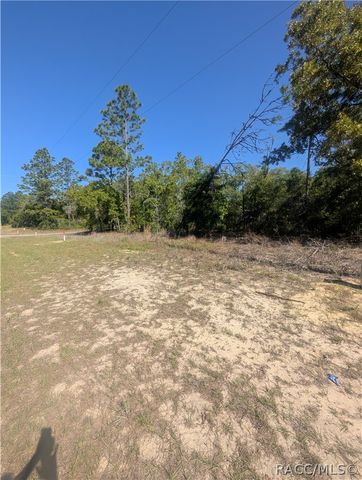 6443 N Dunlap Terrace, Citrus Springs, FL 34433