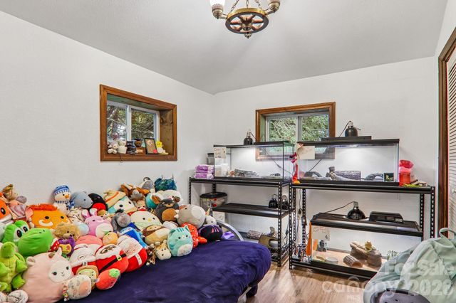 677 Mount Olivet Road, Zirconia, NC 28790