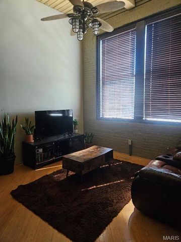 507 N 13th Street 710, St Louis, MO 63103