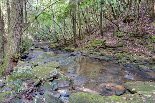 75A Deer Lick Trail, Monteagle, TN 37356