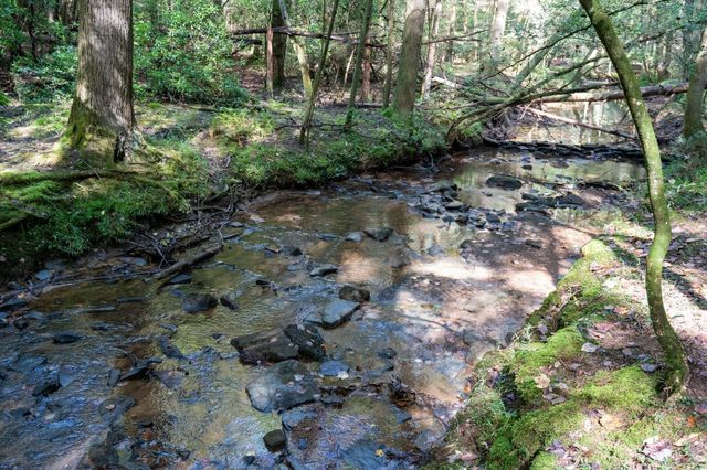 75A Deer Lick Trail, Monteagle, TN 37356
