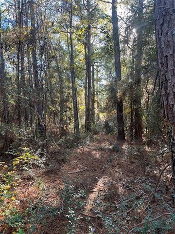 10-26-38 Rim Rock Road, Huntsville, TX 77340