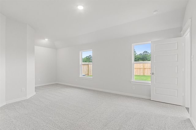 12758 Dina Springs Lane, Magnolia, TX 77354