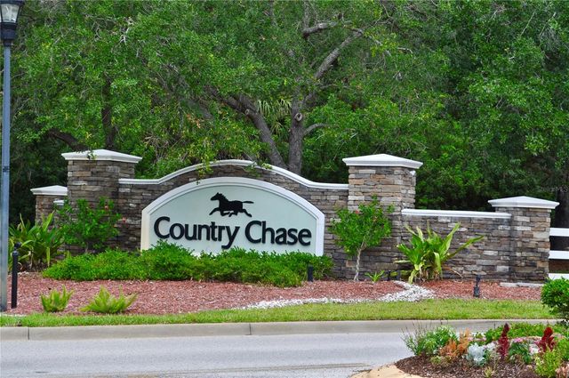 12276 COUNTRY WHITE CIRCLE, Tampa, FL 33635