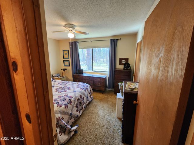 247 W DIAMOND Road, Payson, AZ 85541