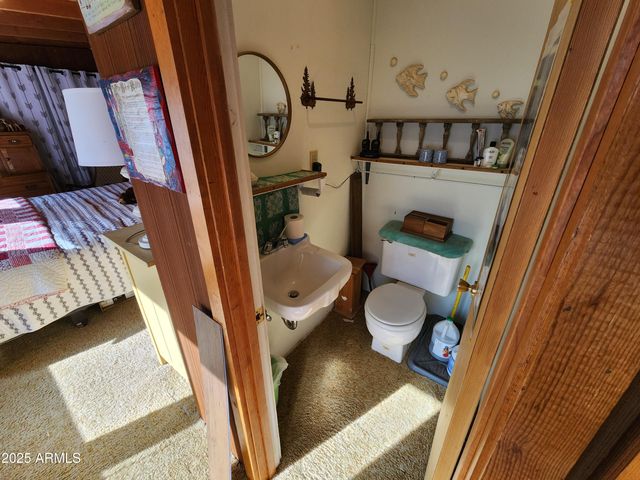 247 W DIAMOND Road, Payson, AZ 85541