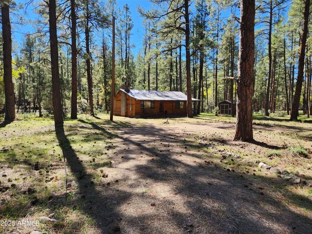 247 W DIAMOND Road, Payson, AZ 85541