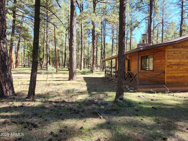 247 W DIAMOND Road, Payson, AZ 85541
