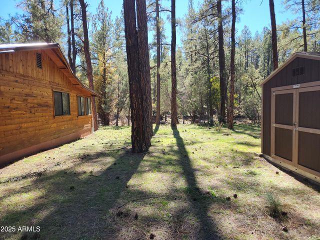 247 W DIAMOND Road, Payson, AZ 85541