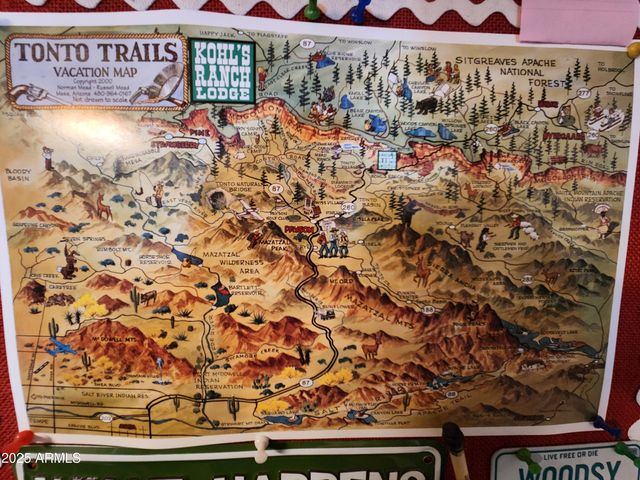 247 W DIAMOND Road, Payson, AZ 85541