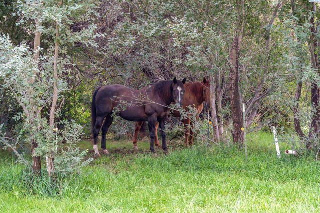 228105 E Game Farm Road, Kennewick, WA 99336