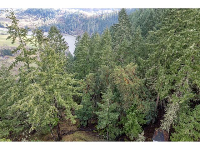 416 ELMAR Dr, Winchester, OR 97495