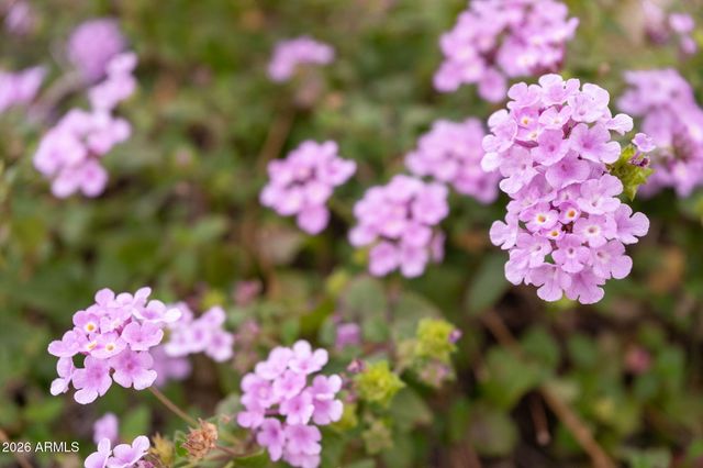 4107 E PULLMAN Road, Cave Creek, AZ 85331