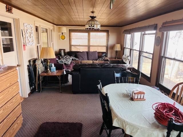 43550 Decker Avenue, Harris, MN 55032