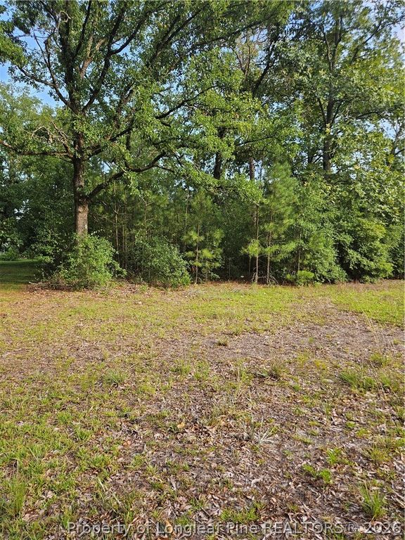 4266 Sids Mill Road, Fayetteville, NC 28312 — photo 2