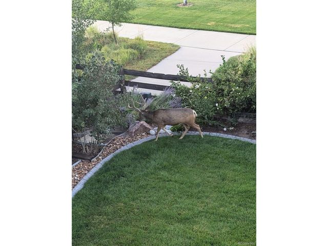 7034 S Fultondale Cir, Aurora, CO 80016