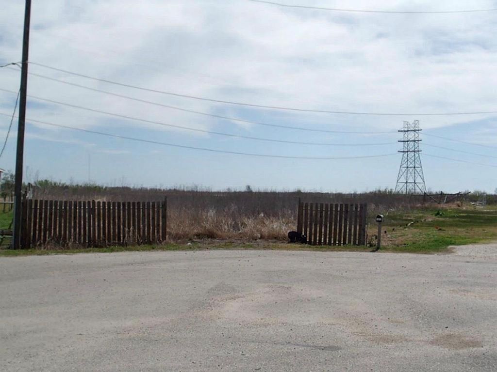 1080 S Paloma Drive, Rosharon, TX 77583