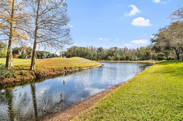 18955 MAISONS DRIVE, Lutz, FL 33558