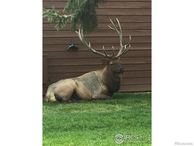 1422 Matthew Circle 2, Estes Park, CO 80517