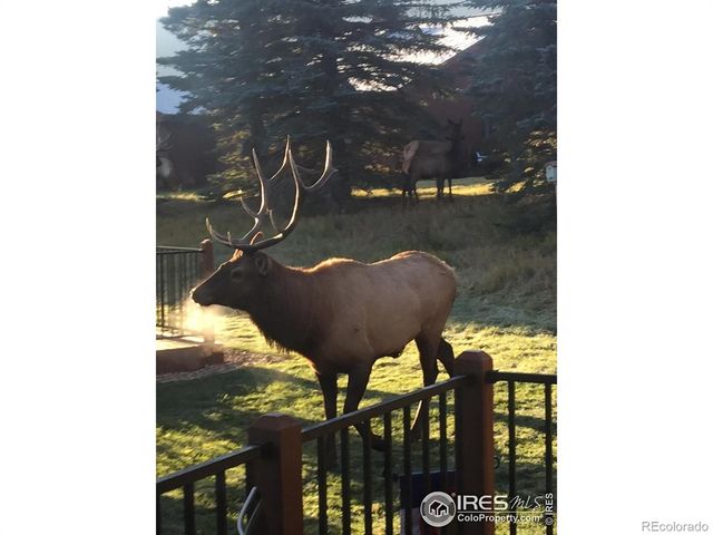 1422 Matthew Circle 2, Estes Park, CO 80517