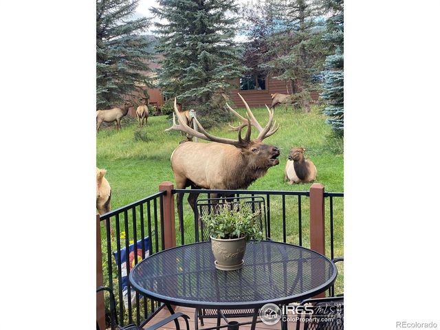 1422 Matthew Circle 2, Estes Park, CO 80517