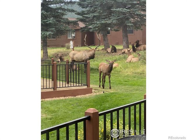 1422 Matthew Circle 2, Estes Park, CO 80517