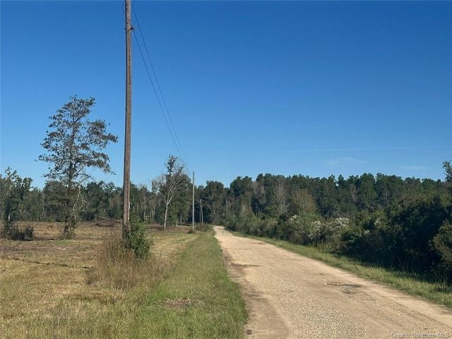 Rd 20 Acre Tract, Longville, LA 70652