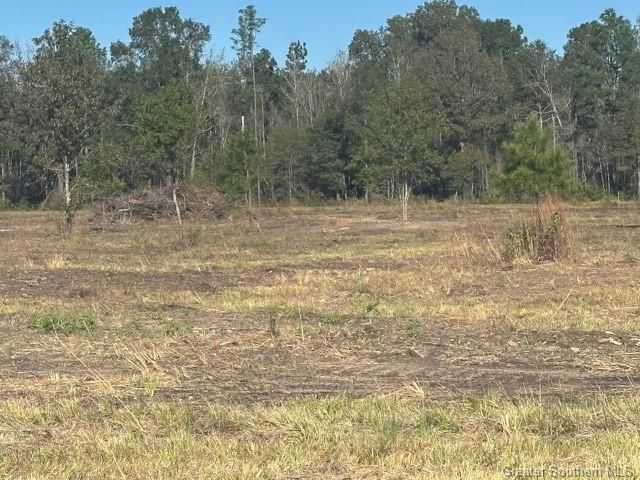 Rd 20 Acre Tract, Longville, LA 70652