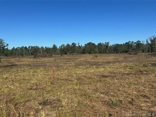 Rd 20 Acre Tract, Longville, LA 70652
